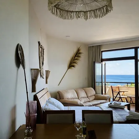 Garden Of Eden Modern - Apartello,com * 圣弗拉斯