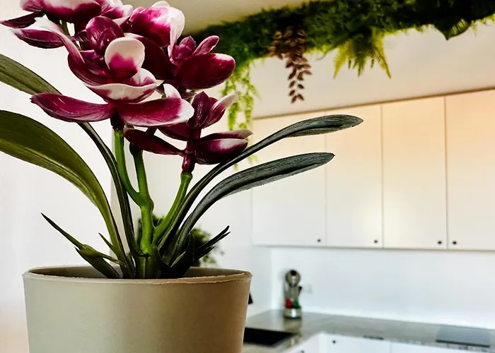 Garden Of Eden Modern - Apartello,com * Święty Włas