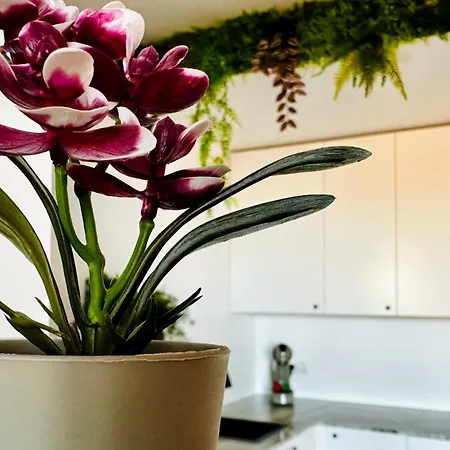 Garden Of Eden Modern - Apartello,com * Sveti Vlas